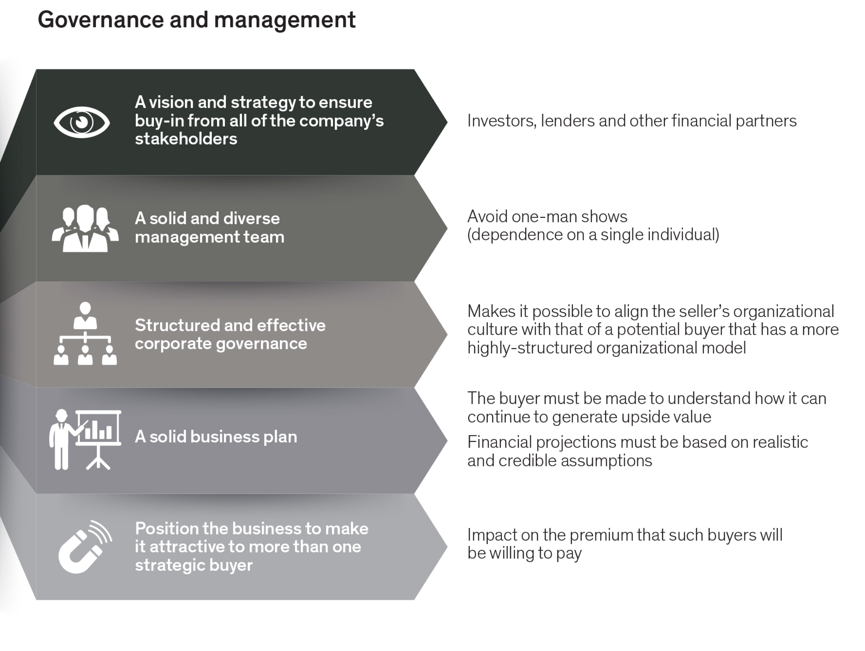 government and management - vision, team, corporate governance, a solid business plan, business positioning 