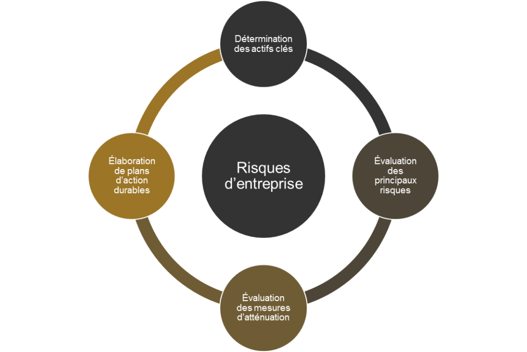 Risques d'entreprises - Détermination des actifs clés; Évaluation des principaux risques; Évaluation des mesures d'atténuation; Élaboration de plans d'action durables