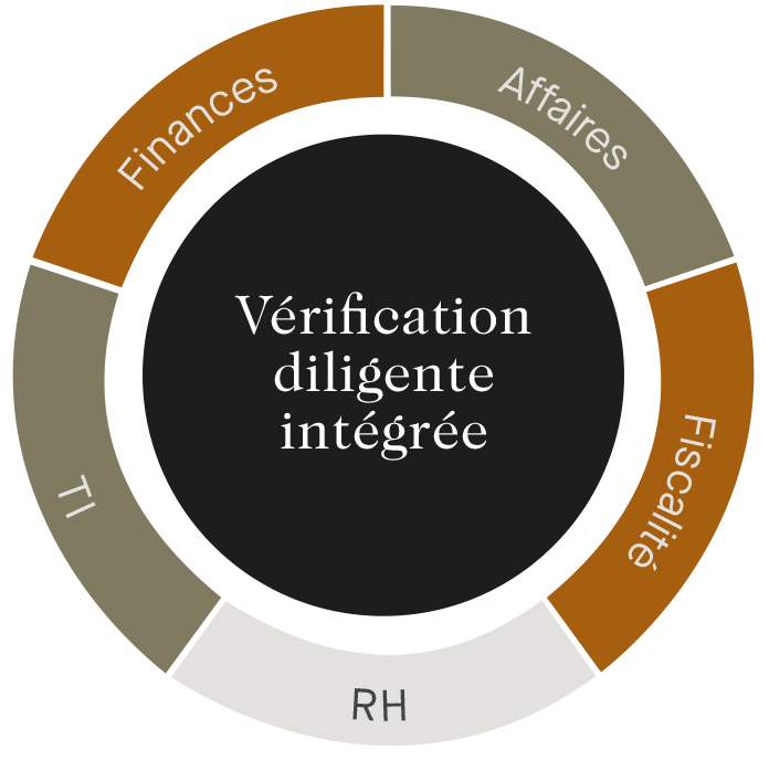Vérification diligente intégrée - graphique : TI, RH, Fiscalité, Affaires, Finances